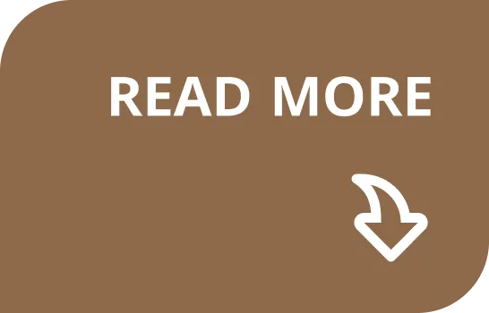 read more button